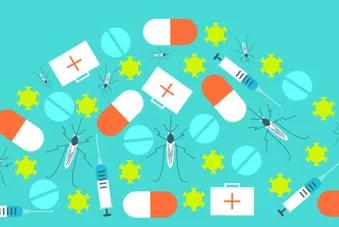 La lutte antivectorielle