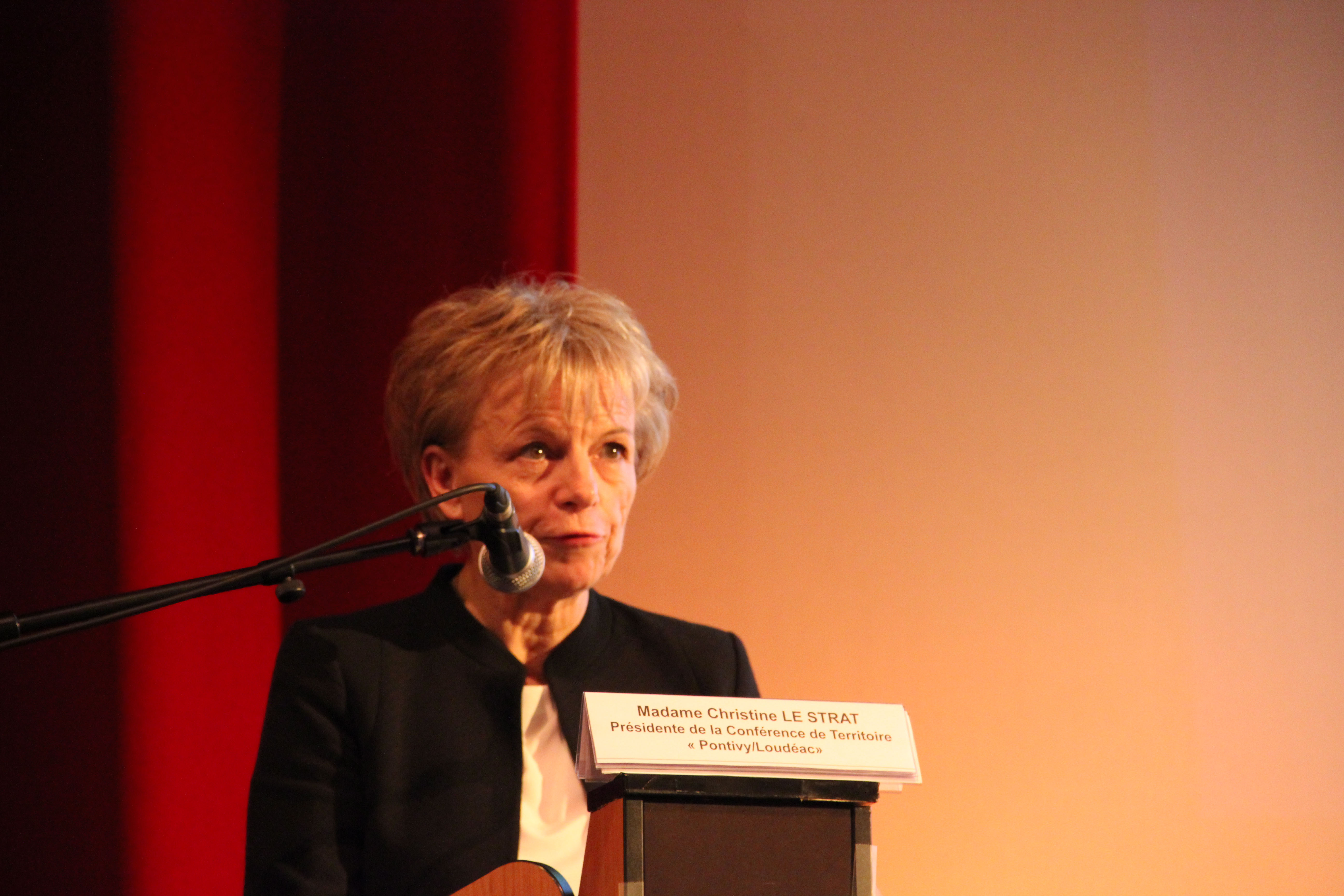 Débat public CRSA - 2015 _ 4