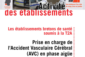 Bilan 2013 - Prise en charge d' AVC en phase aigüe