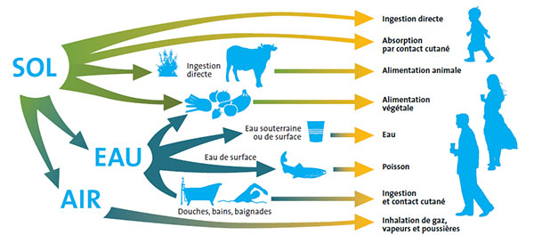 schéma sols pollués