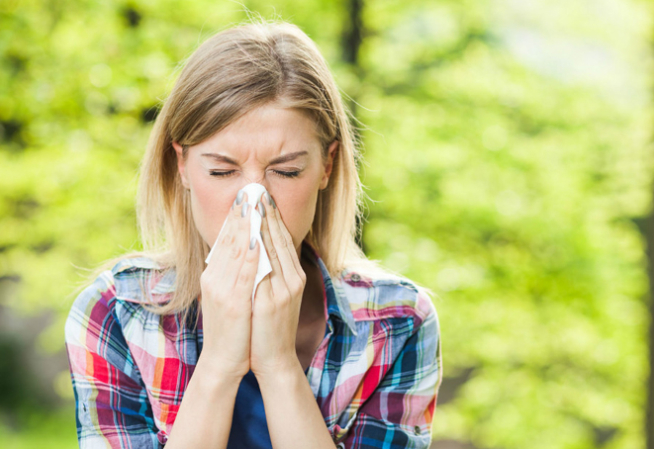 Les espèces allergisantes et envahissantes