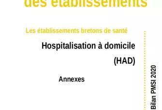 activite_des_etab-synthese_had_2020