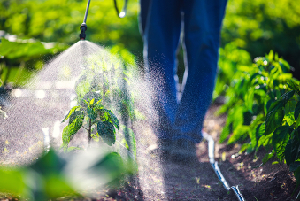 Usage de pesticide sur un champ