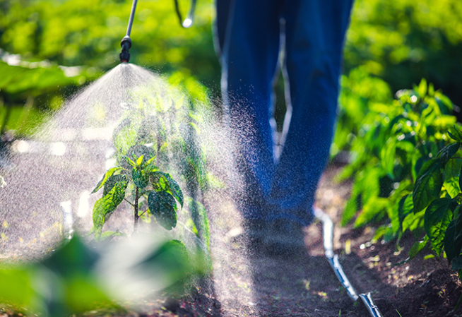 Usage de pesticide sur un champ