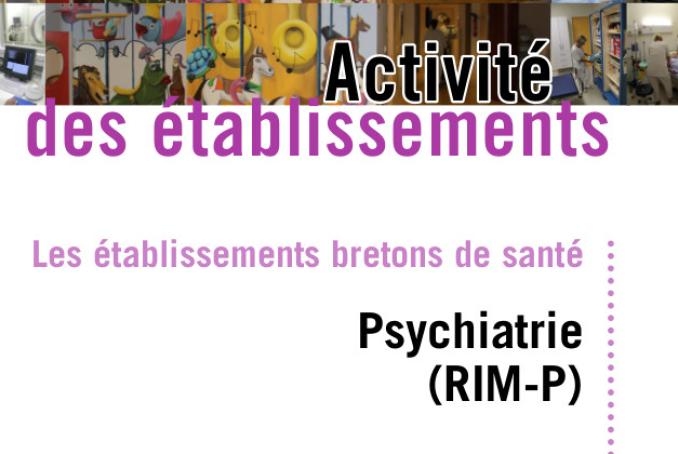 Annexes Bilan PMSI 2017 - Psychiatrie (RIM-P)