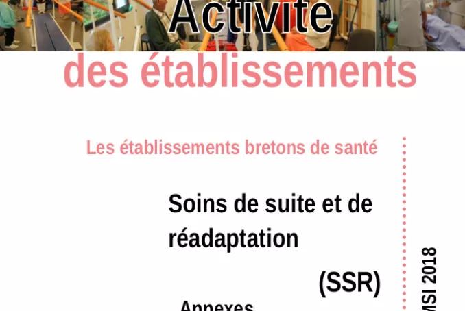 activite_etablissement-annexes_ssr_2018