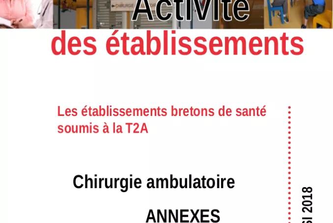 bilan_chir_ambu_2018