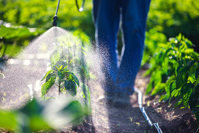 Usage de pesticide sur un champ